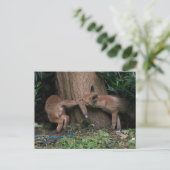 最も可愛い赤ん坊の動物 |ベビーキツネ遊の ポストカード (スタンド正面)