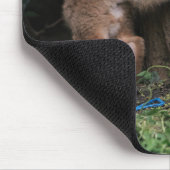 最も可愛い赤ん坊の動物 |ベビーキツネ遊の マウスパッド (コーナー)