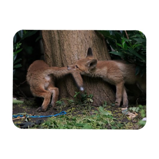 最も可愛い赤ん坊の動物 |ベビーキツネ遊の マグネット (横)