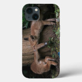 最も可愛い赤ん坊の動物 |ベビーキツネ遊の Case-Mate iPhoneケース (裏面)