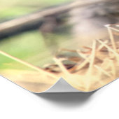 最も可愛い赤ん坊の動物 |ベビーキツネ ポスター (角)