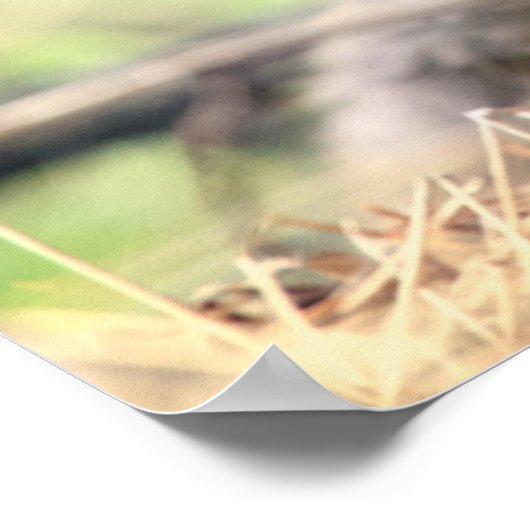 最も可愛い赤ん坊の動物 |ベビーキツネ ポスター (角)