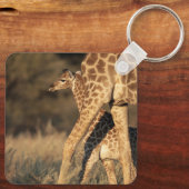 最も可愛い赤ん坊の動物 |ベビーキリンと親 キーホルダー (裏面)