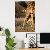 最も可愛い赤ん坊の動物 |ベビーキリンと親 ポスター (ホームオフィス)