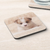 最も可愛い赤ん坊の動物 |ベビーコルギ コースター (左側)