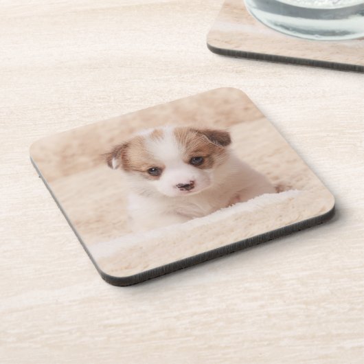 最も可愛い赤ん坊の動物 |ベビーコルギ コースター (左側)