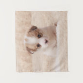 最も可愛い赤ん坊の動物 |ベビーコルギ タペストリー (正面)