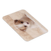 最も可愛い赤ん坊の動物 |ベビーコルギ マグネット (右側)