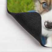 最も可愛い赤ん坊の動物 |ベビーコーギを私の膝に マウスパッド (コーナー)