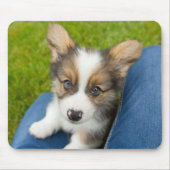 最も可愛い赤ん坊の動物 |ベビーコーギを私の膝に マウスパッド (正面)