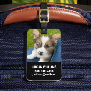 最も可愛い赤ん坊の動物  ベビーコーギを私の膝に ラゲッジタグ