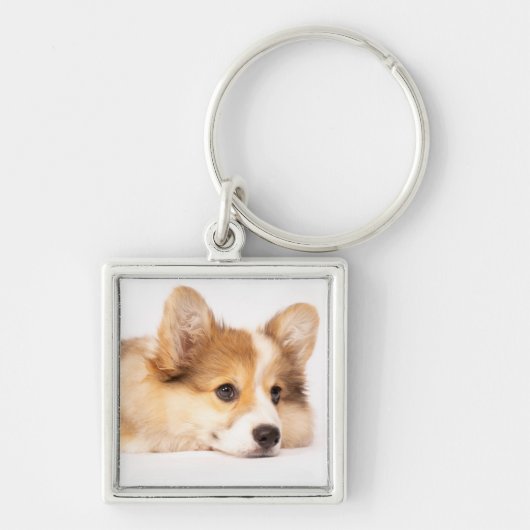 最も可愛い赤ん坊の動物 |ベビーコーギパピーポートレート キーホルダー (正面)