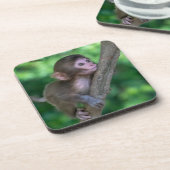 最も可愛い赤ん坊の動物 |ベビーサル コースター (左側)