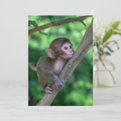 最も可愛い赤ん坊の動物 |ベビーサル サンキューカード (スタンド正面)