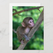 最も可愛い赤ん坊の動物 |ベビーサル サンキューカード (正面/裏面)