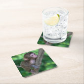 最も可愛い赤ん坊の動物 |ベビーサル スクエアペーパーコースター (インサイチュ)