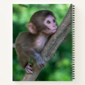 最も可愛い赤ん坊の動物 |ベビーサル ノートブック (裏面)