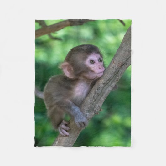 最も可愛い赤ん坊の動物 |ベビーサル フリースブランケット (正面)