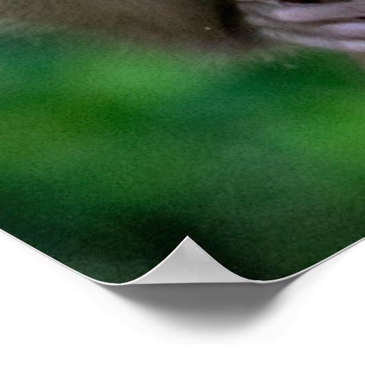 最も可愛い赤ん坊の動物 |ベビーサル ポスター (角)