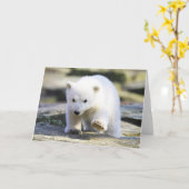 最も可愛い赤ん坊の動物 |ベビーシロクマ カード (黄色い花)