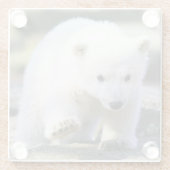 最も可愛い赤ん坊の動物 |ベビーシロクマ ガラスコースター (裏面)