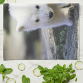 最も可愛い赤ん坊の動物 |ベビーシロクマ キッチンタオル (折り畳み)