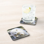 最も可愛い赤ん坊の動物 |ベビーシロクマ コースター (右側)