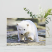 最も可愛い赤ん坊の動物 |ベビーシロクマ サンキューカード (スタンド正面)