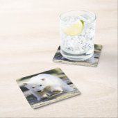 最も可愛い赤ん坊の動物 |ベビーシロクマ スクエアペーパーコースター (インサイチュ)