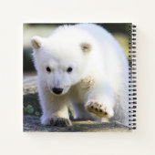 最も可愛い赤ん坊の動物 |ベビーシロクマ ノートブック (裏面)