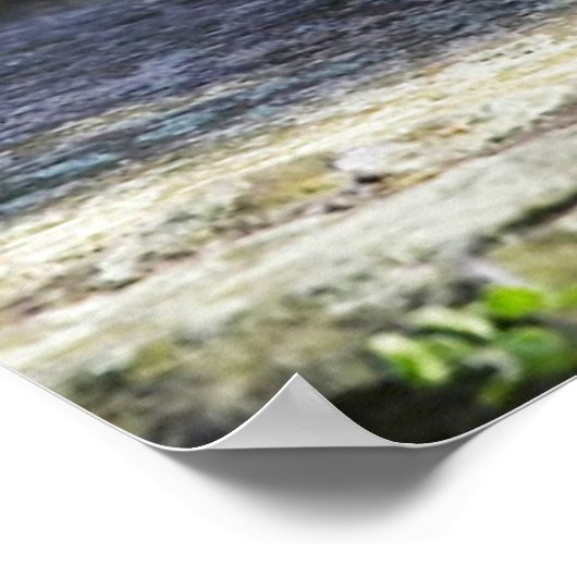 最も可愛い赤ん坊の動物 |ベビーシロクマ ポスター (角)