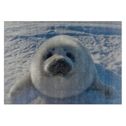 最も可愛い赤ん坊の動物 |ベビーシール カッティングボード (正面)