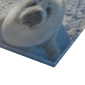 最も可愛い赤ん坊の動物 |ベビーシール カッティングボード (角)