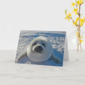 最も可愛い赤ん坊の動物 |ベビーシール カード (黄色い花)