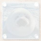 最も可愛い赤ん坊の動物 |ベビーシール ガラスコースター (裏面)