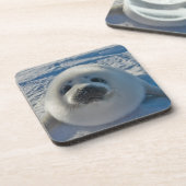 最も可愛い赤ん坊の動物 |ベビーシール コースター (左側)