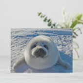 最も可愛い赤ん坊の動物 |ベビーシール サンキューカード (スタンド正面)