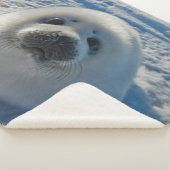 最も可愛い赤ん坊の動物 |ベビーシール シェルパブランケット (3/4)