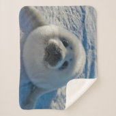 最も可愛い赤ん坊の動物 |ベビーシール シェルパブランケット (正面)