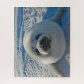 最も可愛い赤ん坊の動物 |ベビーシール ジグソーパズル (縦)