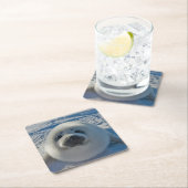 最も可愛い赤ん坊の動物 |ベビーシール スクエアペーパーコースター (インサイチュ)