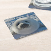 最も可愛い赤ん坊の動物 |ベビーシール スクエアペーパーコースター (アングル)