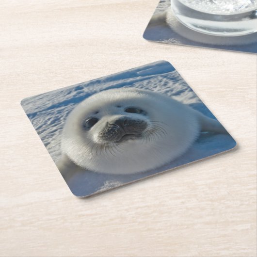 最も可愛い赤ん坊の動物 |ベビーシール スクエアペーパーコースター (アングル)