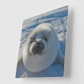 最も可愛い赤ん坊の動物 |ベビーシール スクエア壁時計 (傾斜)