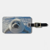 最も可愛い赤ん坊の動物 |ベビーシール ラゲッジタグ (正面横)