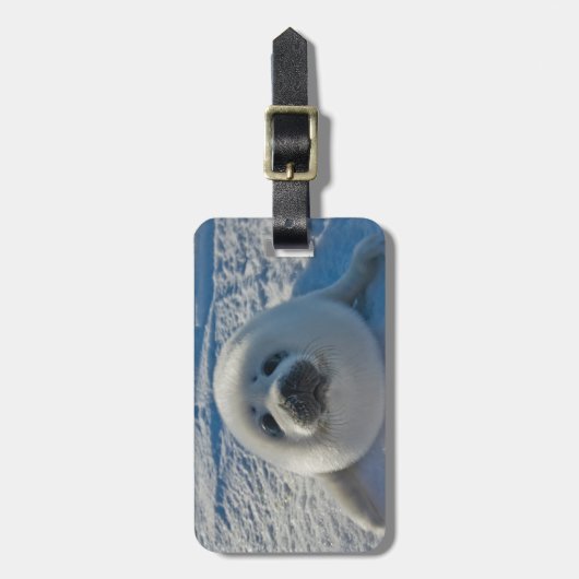 最も可愛い赤ん坊の動物 |ベビーシール ラゲッジタグ (正面縦)