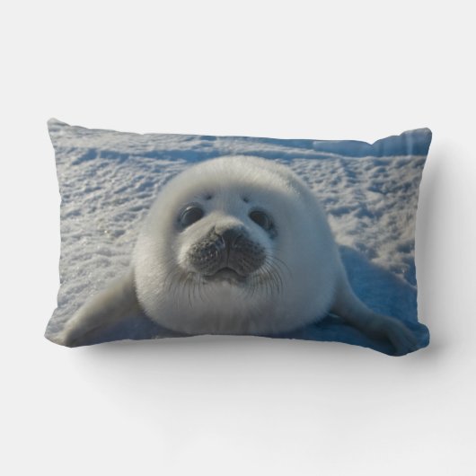 最も可愛い赤ん坊の動物 |ベビーシール ランバークッション (裏面)