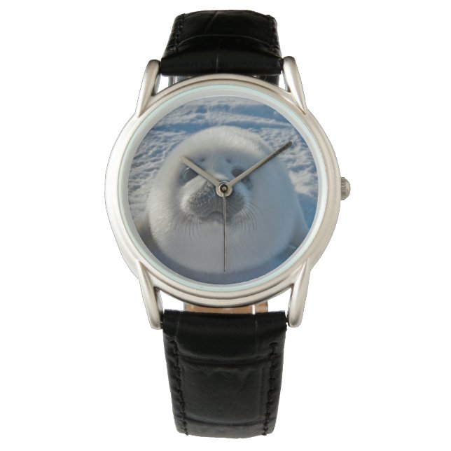 最も可愛い赤ん坊の動物 |ベビーシール 腕時計 (正面)