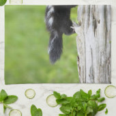 最も可愛い赤ん坊の動物 |ベビースカンク キッチンタオル (折り畳み)