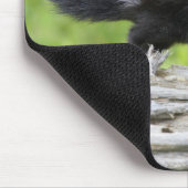 最も可愛い赤ん坊の動物 |ベビースカンク マウスパッド (コーナー)